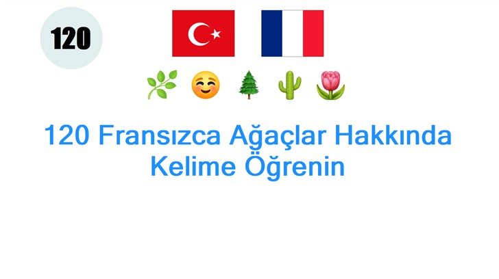 120 Fransızca Ağaçlar Hakkında Kelime Öğrenin